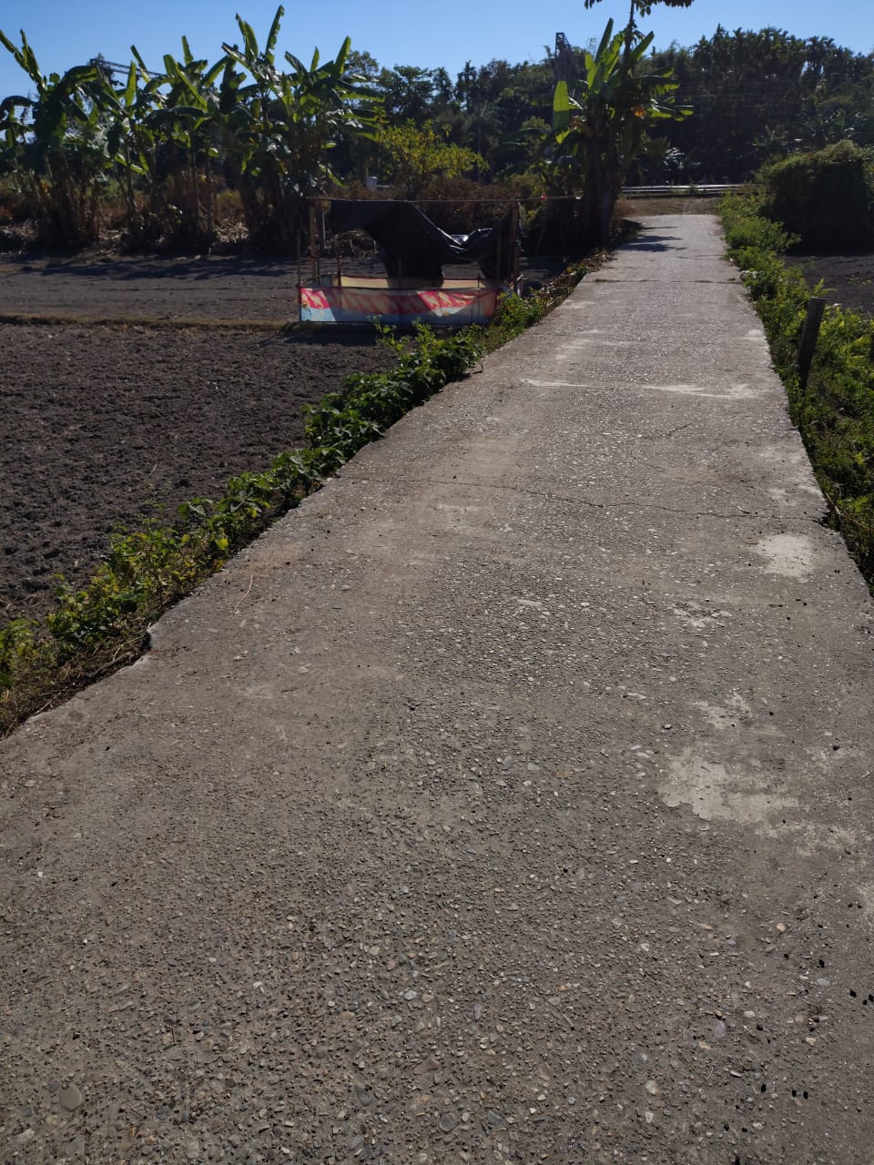 14.5 Decimal Registered Land for Sale Near Samuktala Road Station | Low Price Deal